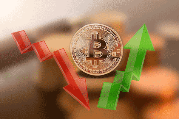 Vana发布VANA代币经济学：总供应量的44%将分配给社区